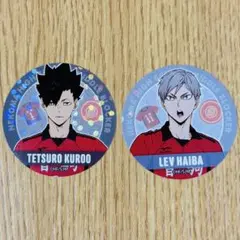 【ハイキュー】黒尾鉄朗・灰羽リエーフ ステッカー シール