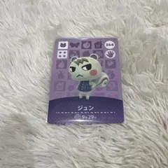 どうぶつの森 あつ森 amiibo ジュン 264