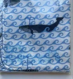 Item thumbnail for item f515fc78-a4ce-4feb-969c-1e72eba267ab