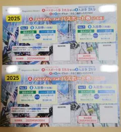 【送料込】ナガシマスパーランド パスポート券　2枚のサムネイル