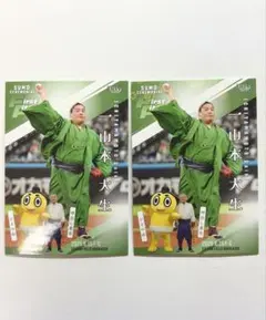 Item thumbnail for item 92890775-6537-4e8a-9d61-083f2223167f