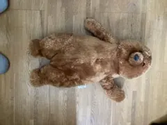 くま　ぬいぐるみ