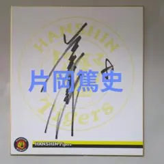 80年代 ビンテージ 真作 1985年 野口登士子 浜辺 直筆サイン入り 絵画 阪神タイガース時代 野口寿浩 サイン色紙 - メルカリ
