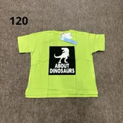 Item thumbnail for item 3f421873-2ac9-4e37-a7e6-e55a61d4c534