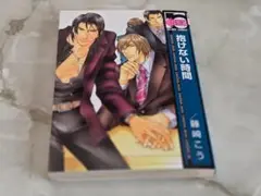 抱けない時間 藤崎こう ビーボーイコミックス