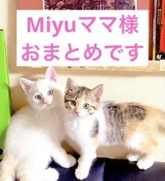 Miyuママ (体調不良で対応遅れます)様 リクエスト 5点 まとめ商品