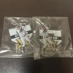 阪神タイガース2025JERA セ・リーグ優勝記念くじ 髙寺望夢 アクスタ