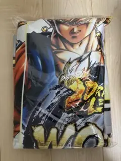 Item thumbnail for item 8fb26237-0c2b-43e1-bb4c-4437d0c97851