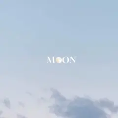 龍 ドラゴン ペアリングネックレス ラッピング袋付き プレゼント 誕生日 ペア