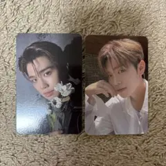 ZB1 youth in the shade taerae テレ　トレカ