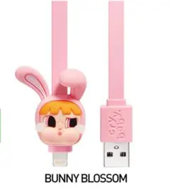 ポップマート CRYBABY クライベイビー パワーパフガールズ ケーブル