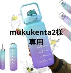 水筒 ウォーターボトル 2L/800ml/300ml 耐冷耐熱 水漏れ防止