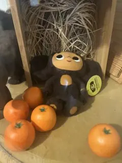 チェブラーシカ