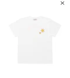 buddix fantastics Bee Printed SS Tee