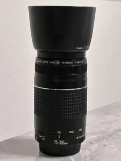 運動会におすすめ✨Canon Kiss X8i✨超望遠レンズ✨ダブルレンズ 運動会におすすめ✨Canon Kiss X8i✨超望遠レンズ✨ダブルレンズ