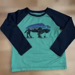 patagonia バイソンデザイン ラッシュガード 4T