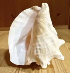 Item thumbnail for item 13b3dba3-2460-4ca6-afc4-6327011366f2