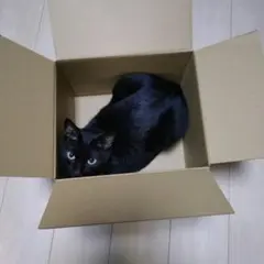 kiyo様専用ページ