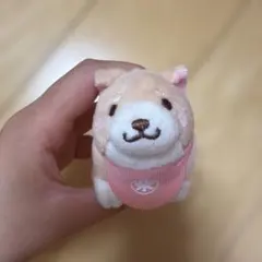 忠犬もちしば ぬいぐるみ マスコット