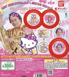 マツケンサンバ×ハローキティ ふらっとめじるしアクセサリー