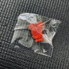 TWICE LOVELYS グミ & チャーム チェヨン チェンブリー