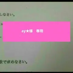 ay★様　専用