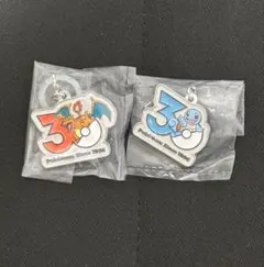 ポケモン 30周年 メタルチャームマスコット　 リザードン　ゼニガメ