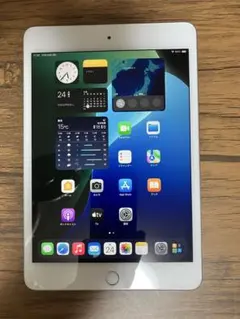 Apple iPad mini5 256GB Wi-Fi+Cellular