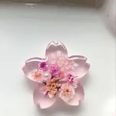 NO.2977遊悠の花˚✧₊⁎⁺˳✧༚ドライフラワー レジンヘアゴム ブローチ