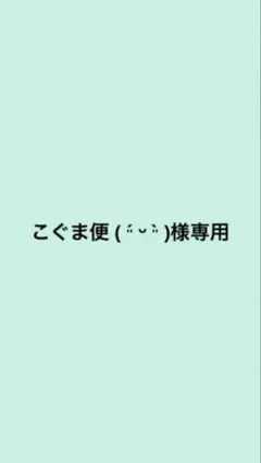 こぐま便 ( ´͈ ᵕ `͈ )様専用