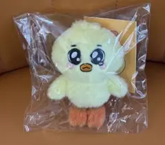 NMIXX fm 限定　NSWER VACATION ぬいぐるみ　bae ベイ