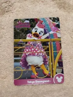 ミニパル コレクションカード デイジー