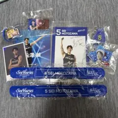 シーホース三河 元澤誠