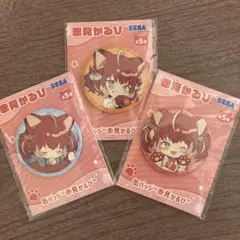 赤見かるび Crazy raccoon 缶バッジ アクリルバッジ コースター や*て様 Crazy Raccoon CRフェス 缶バッジ 赤見かるび - メルカリ