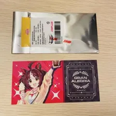 ウマ娘 グランアレグリア 両面チケット 韓国限定