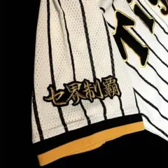刺繍アイロンワッペン アップリケ 応援ユニホーム 阪神 タイガース 虎