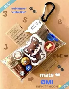 INFINITY MOON☆JSB☆MATE☆ガチャ詰めポーチ☆登坂広臣☆OMI