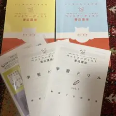 トリプレットビート ポケセン産 - メルカリ