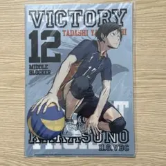 ハイキュー‼︎ 山口忠 クリアファイル 勝利への闘志Ver.