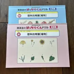 ばっちりくんドリル 81.82 理科的常識 植物 2冊セット