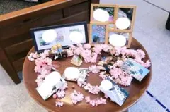 ウェルカムスペース　春セット 【バラ売り要相談】