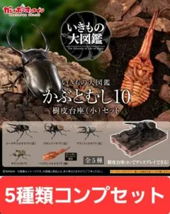 いきもの大図鑑 かぶとむし10 オンライン版 全5種コンプリートセット