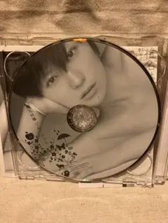 椎名林檎 りんごのうた CD DVD