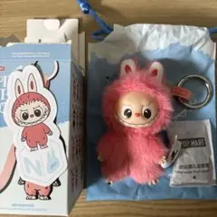 ラブブ　ぬいぐるみ　チャーム　イニシャル　Nセット N】ラブブ (2点セット) LABUBU イニシャル ぬいぐるみ