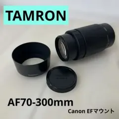 2026年最新】タムロン AF 100-300mm F5-6.3の人気アイテム - メルカリ