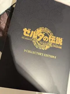 Nintendo Switch ゼルダの伝説 ティアーズ オブ ザ キングダムのサムネイル