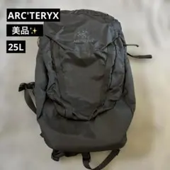 新品！非売品！アークテリクスveilance GORE-TEXトートバッグ赤 - メルカリ