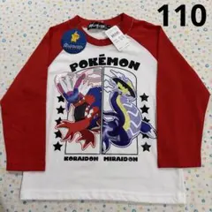 ちゃんえー様 リクエスト 2点 まとめ商品