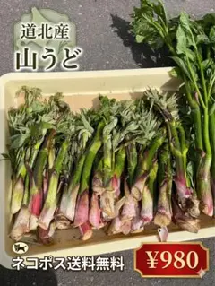 ①道北産 天然山うど 700g以上 ネコポス 送料無料のサムネイル