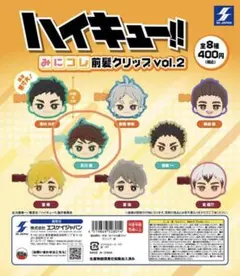 ハイキュー!! みにコレ前髪クリップ vol.2 及川徹
